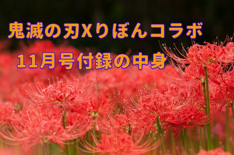 鬼滅の刃 りぼん11月号付録でコラボ その他の雑誌にも続々登場 話題のパレード