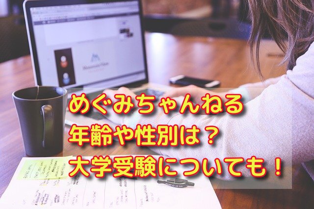 めぐみちゃんねるの年齢や性別は 大学受験についても詳しく 話題のパレード