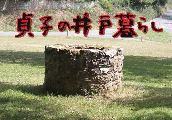 貞子の井戸暮らし みんなの評判は 貞子のプロフィールも紹介 話題のパレード