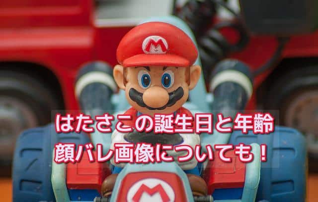はたさこの誕生日と年齢などプロフィール！顔バレ画像についても！